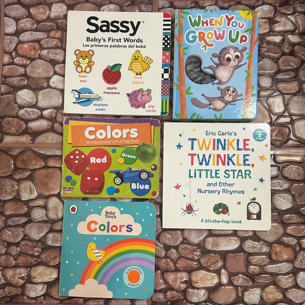 Eric Carle Sassy Baby Touch Board Book Lot 5 Nursery Rhymes Colors First Words